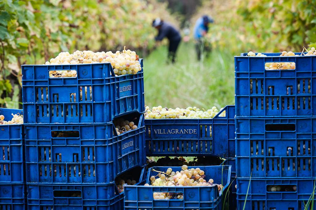 Wine Resort Villagrande Milo Buitenkant foto