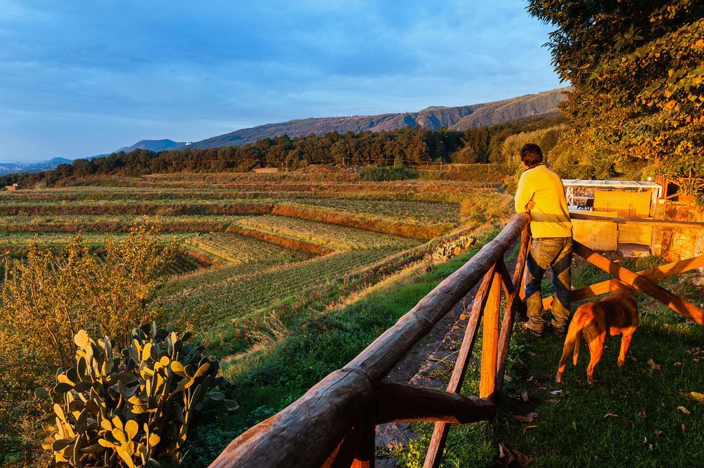 Wine Resort Villagrande Milo Buitenkant foto